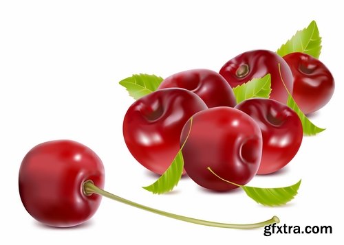 Collection of sweet cherry berry cherry vector image 25 EPS