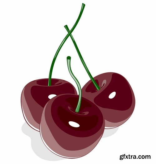 Collection of sweet cherry berry cherry vector image 25 EPS