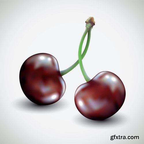 Collection of sweet cherry berry cherry vector image 25 EPS