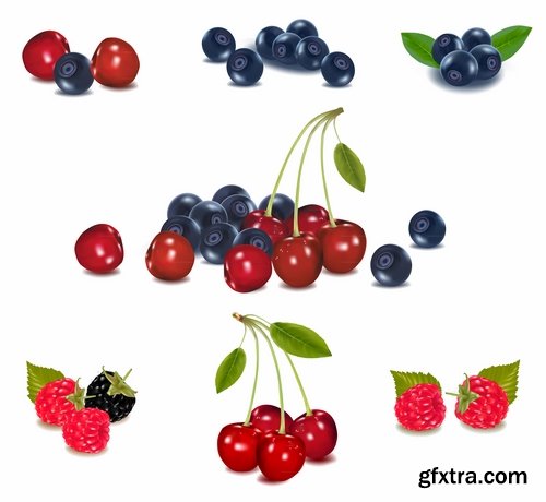 Collection of sweet cherry berry cherry vector image 25 EPS