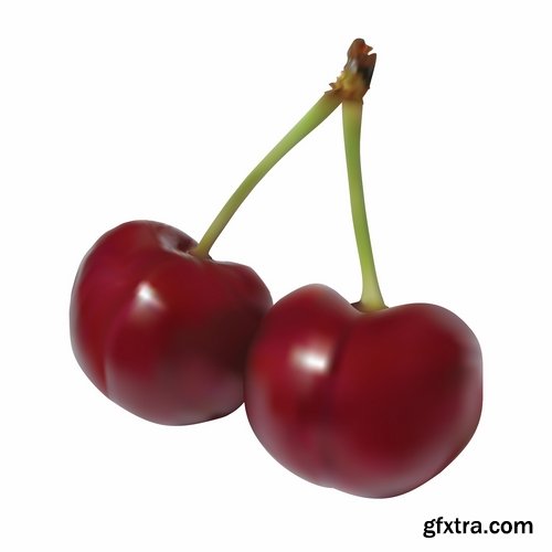 Collection of sweet cherry berry cherry vector image 25 EPS