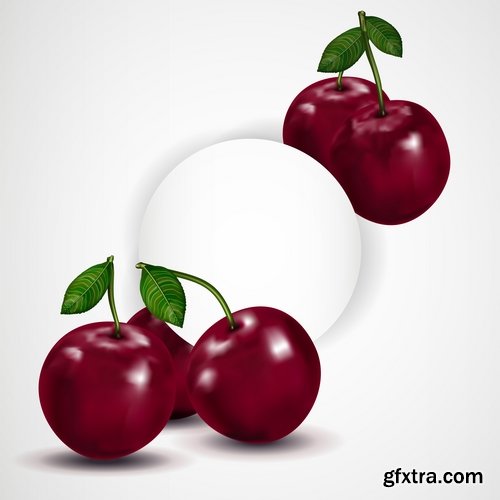 Collection of sweet cherry berry cherry vector image 25 EPS