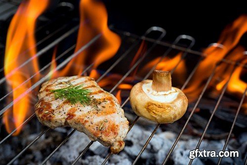 Grilled chicken-5xJPEGs