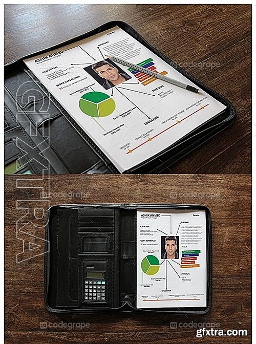 InfographicResume Vol 1 5180