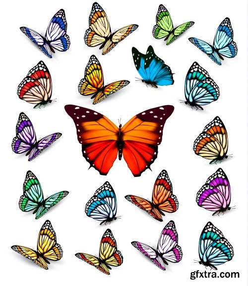 Set of colorful butterflies vector