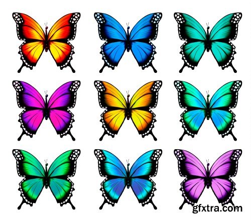 Set of colorful butterflies vector