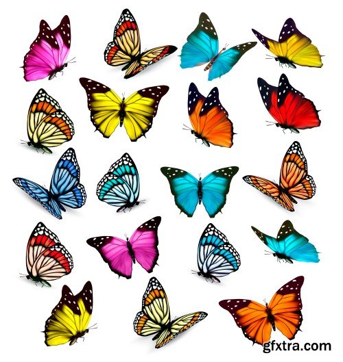 Set of colorful butterflies vector