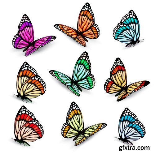 Set of colorful butterflies vector