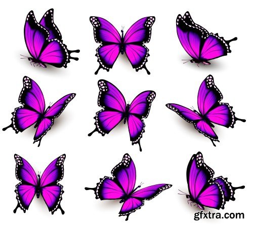 Set of colorful butterflies vector