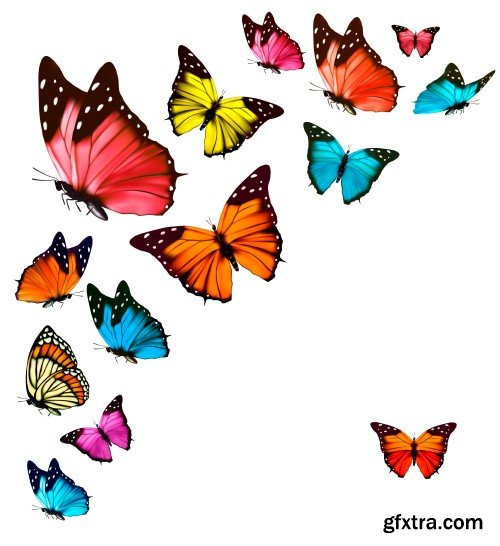 Set of colorful butterflies vector