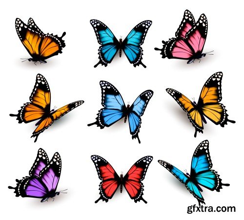 Set of colorful butterflies vector