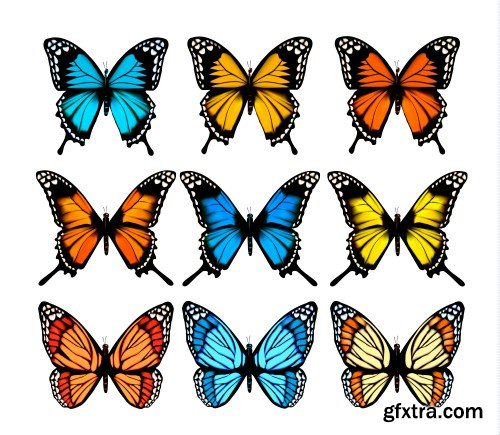 Set of colorful butterflies vector