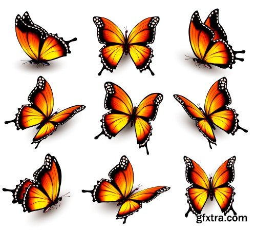 Set of colorful butterflies vector