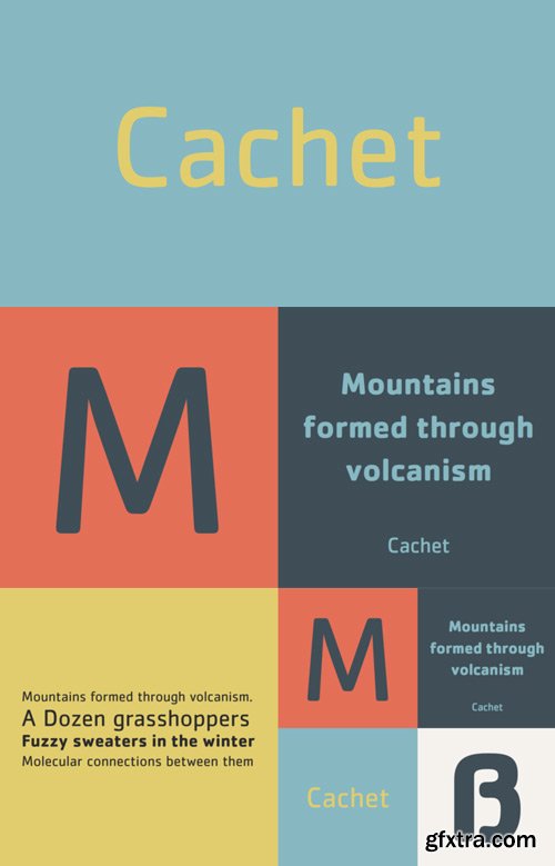 Cachet Font Family $156