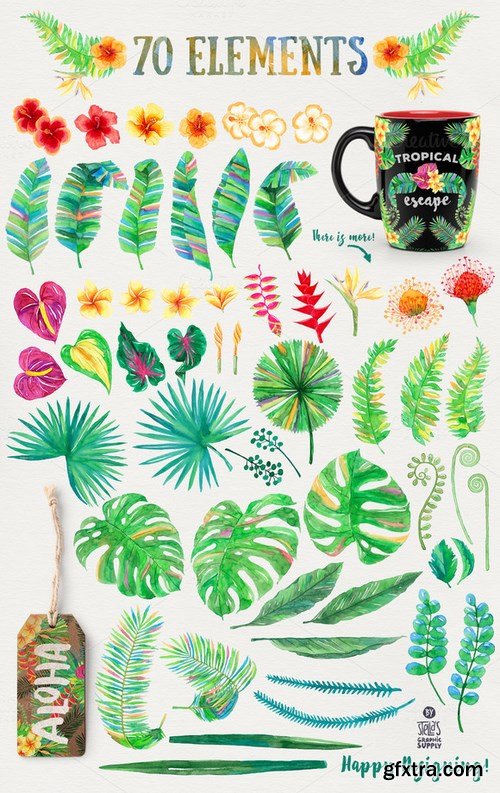 CM - Tropical Inspiration 656558