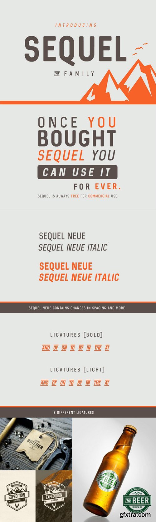 CM - Sequel Font Family 622158