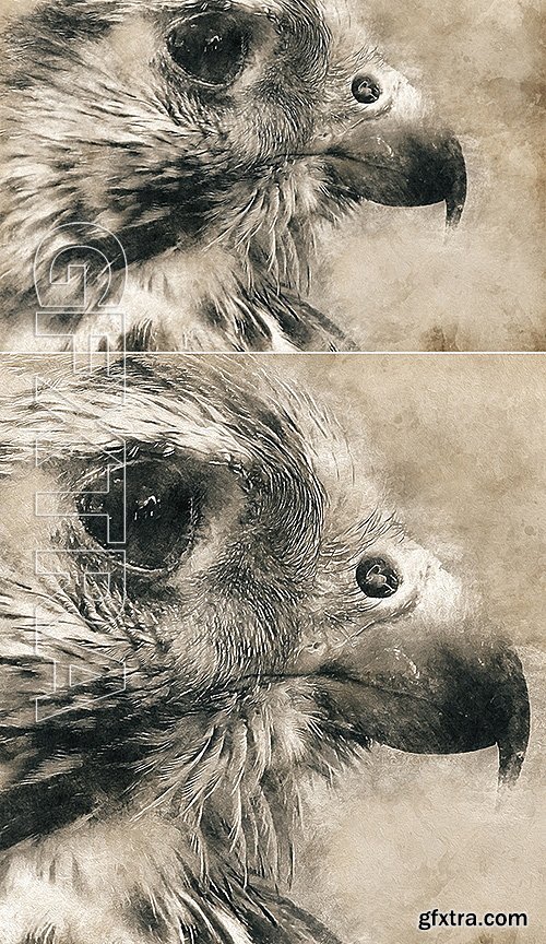 GraphicRiver - Vintage Photoshop Action 15838382