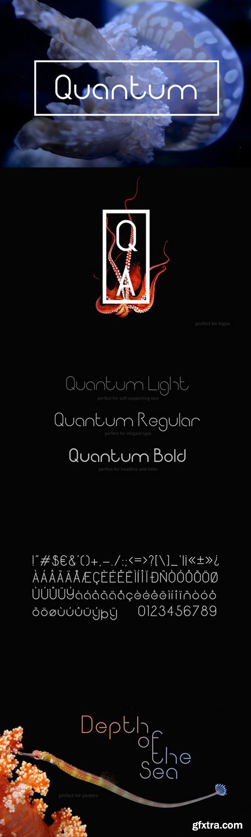 CM - Quantum Sans Serif Fonts 664611