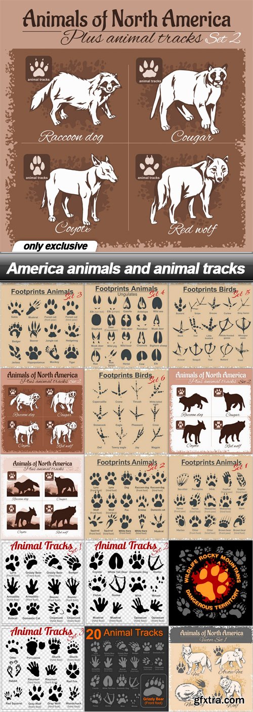 America animals and animal tracks - 15 EPS