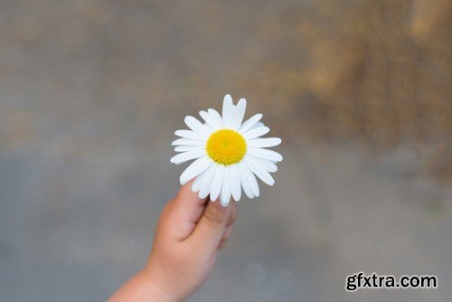 Flower in hand-8xJPEGs