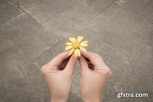 Flower in hand-8xJPEGs