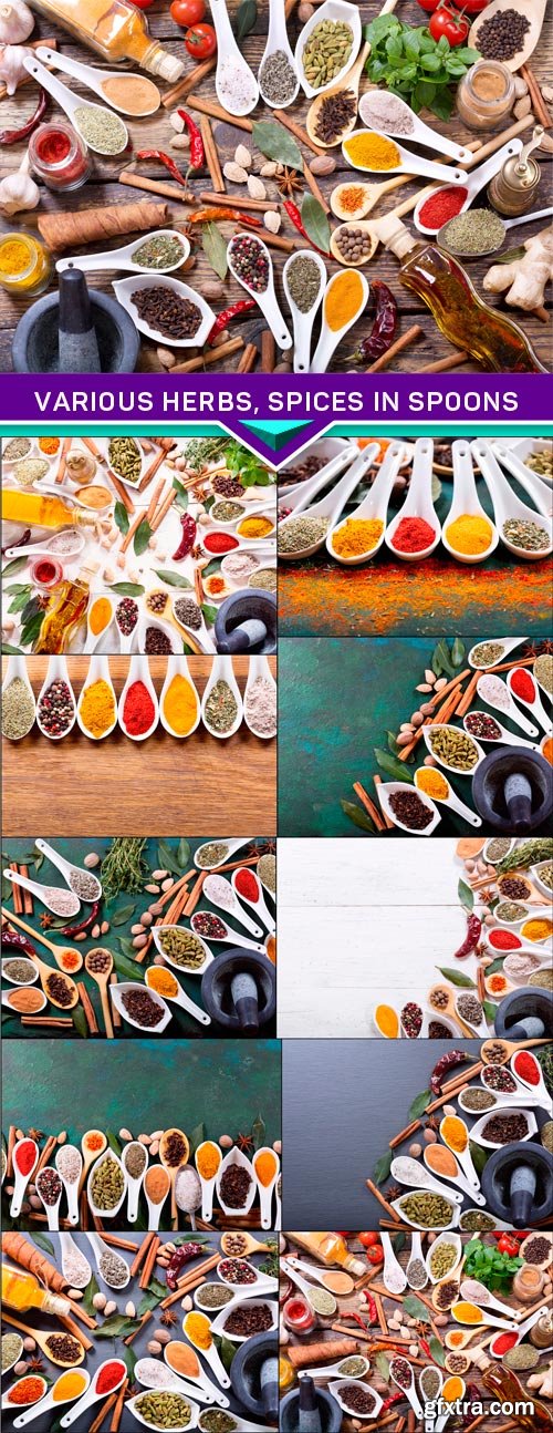 Various herbs, spices in spoons 10x JPEG