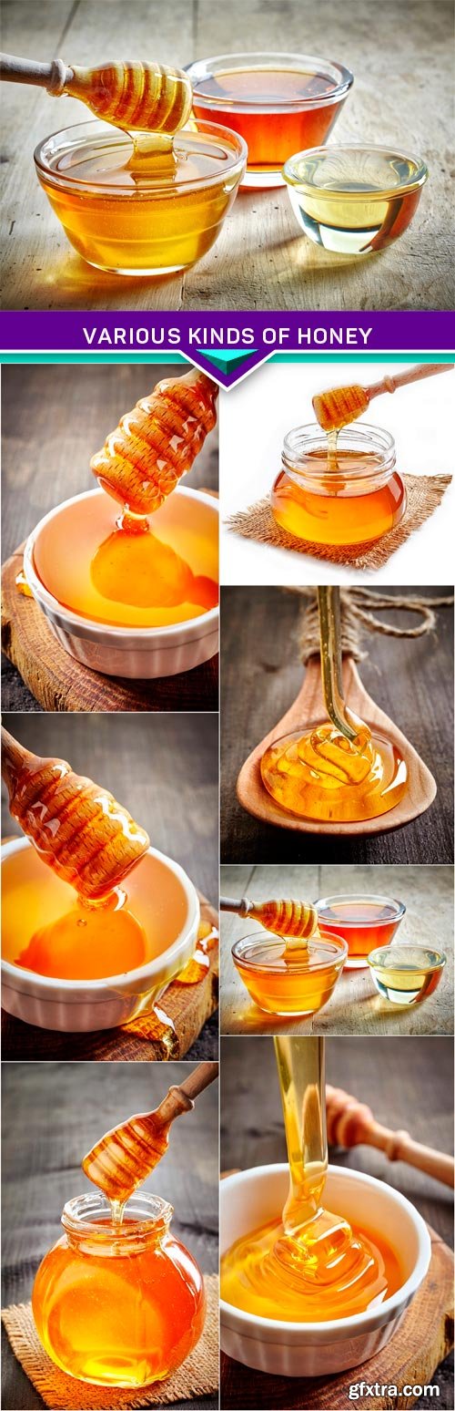 Various kinds of honey 7x JPEG