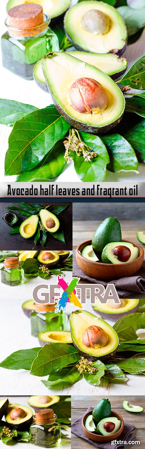 Avocado half leaves and fragrant oil