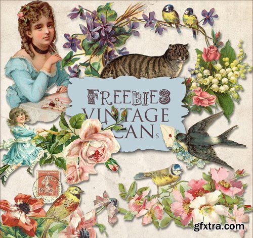 Scrap Kit - Vintage Flower Illustrations, part 3