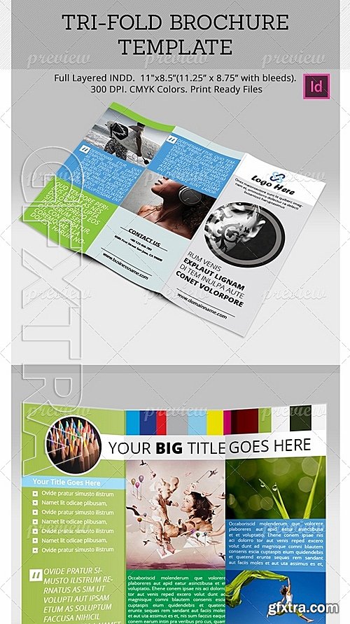 Tri-fold Brochure Template 2049