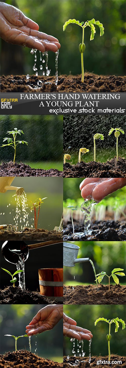 Farmer's hand watering a young plant, 8  x  UHQ JPEG