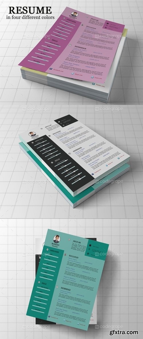 Creative Resume Template 5275