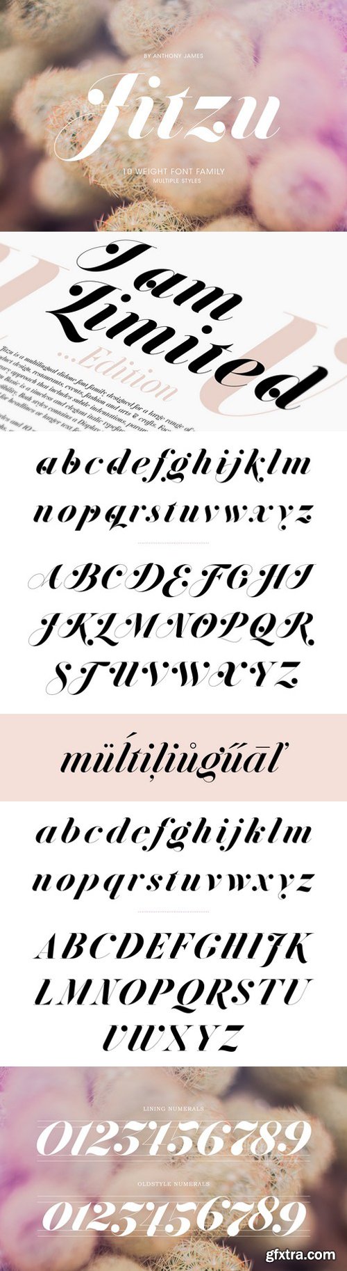 Jitzu Medium Font