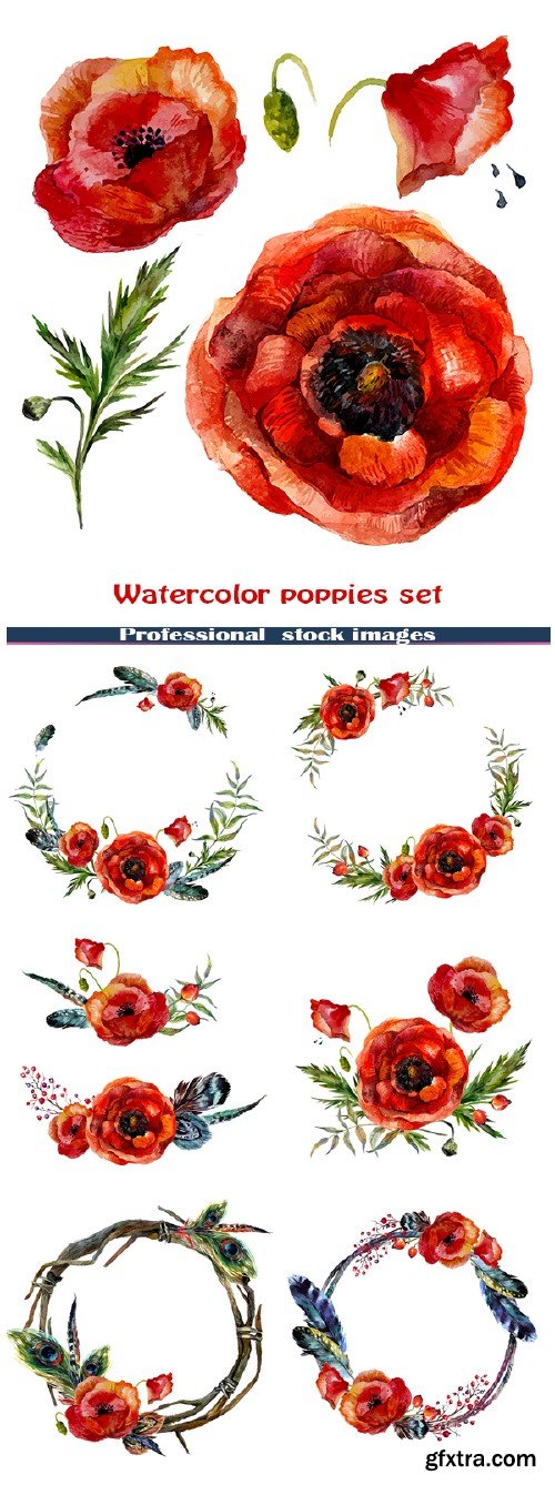 Watercolor poppies set