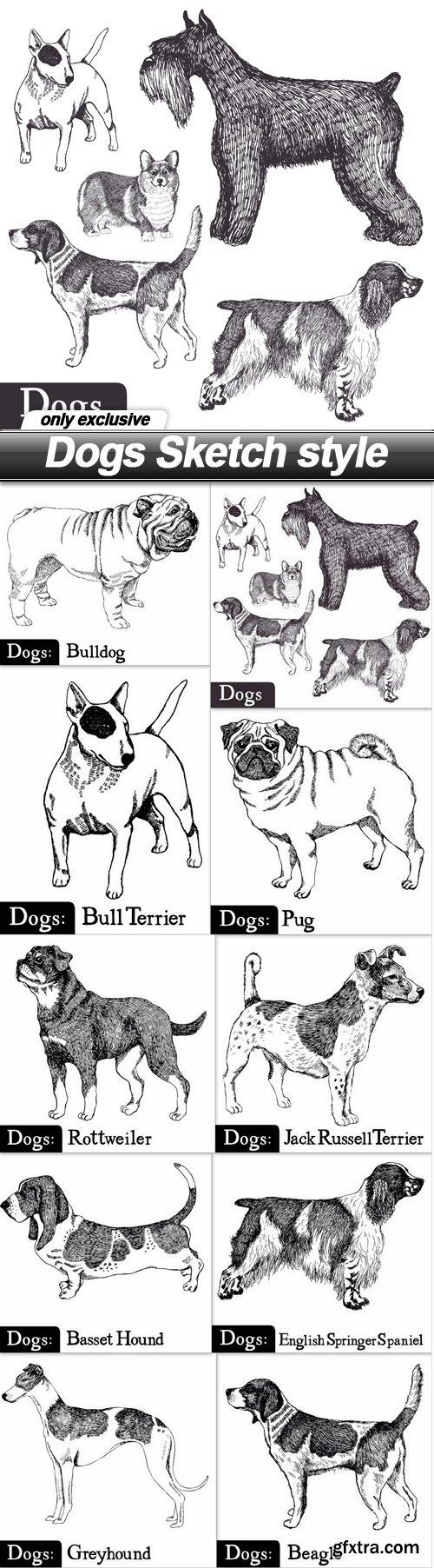 Dogs Sketch style - 10 EPS