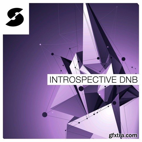 Samplephonics Introspective DnB MULTiFORMAT-FANTASTiC