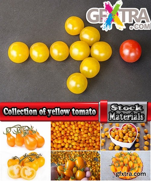 Collection of yellow tomato vegetable 25 HQ Jpeg