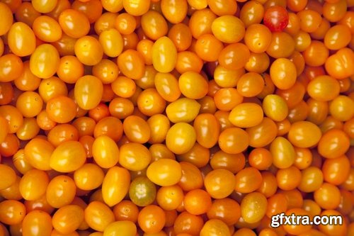 Collection of yellow tomato vegetable 25 HQ Jpeg