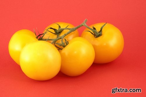 Collection of yellow tomato vegetable 25 HQ Jpeg