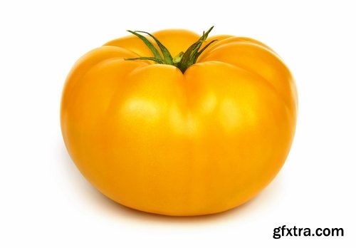 Collection of yellow tomato vegetable 25 HQ Jpeg