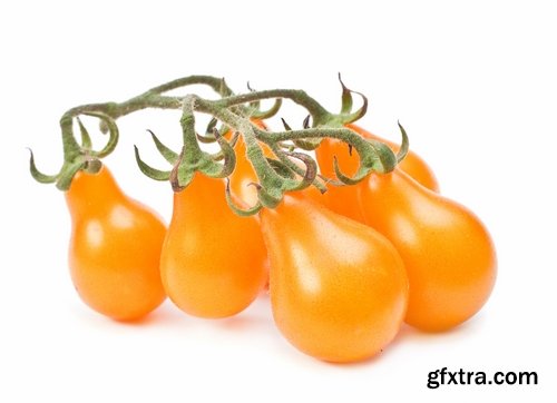 Collection of yellow tomato vegetable 25 HQ Jpeg