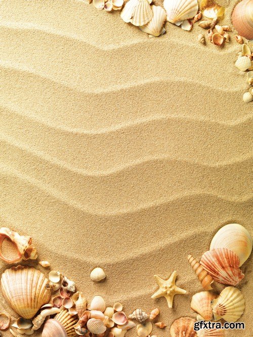 Seashells in the sand-5xJPEGs