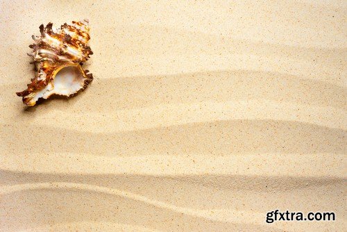 Seashells in the sand-5xJPEGs