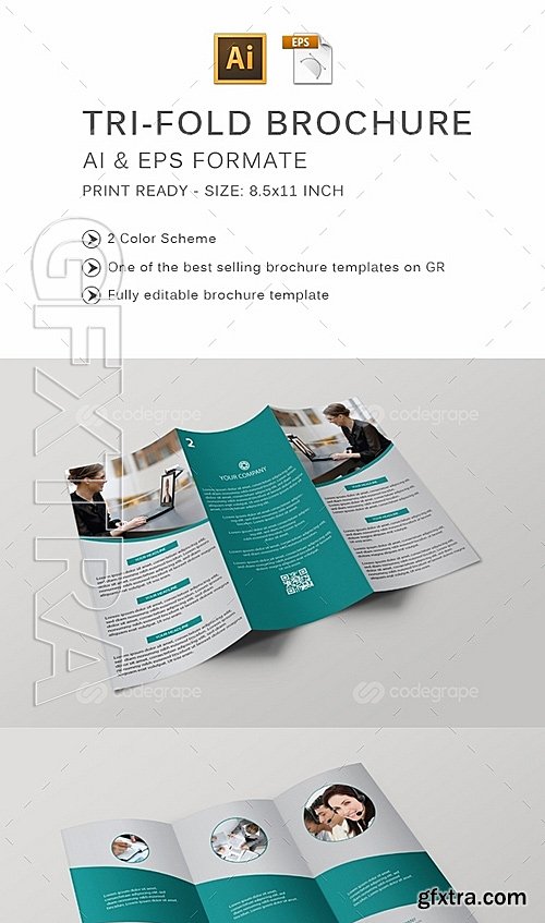 Tri-fold Brochure 6198