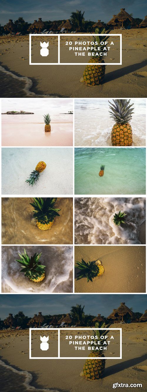 CM - Pineapple's Day at the Beach 474113