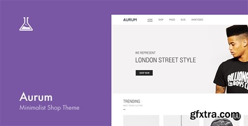 ThemeForest - Aurum v2.8 - Minimalist Shopping Theme - 9600822