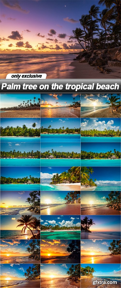 Palm tree on the tropical beach - 25 UHQ JPEG