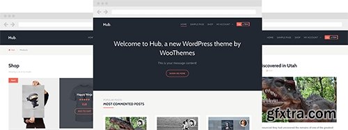 WooThemes - Hub v1.2.11 - WordPress Theme