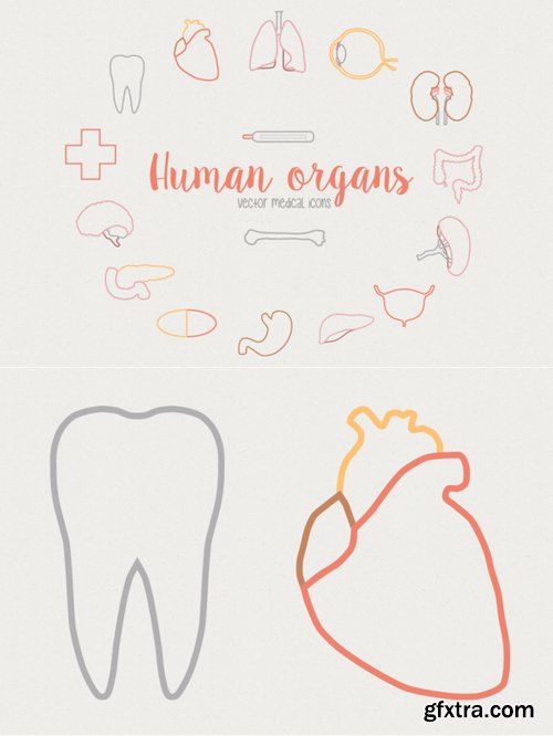 CM - Human organs - Medical icons 55993