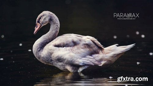 Videohive Parallax - Photo Animation Kit 4K 14995979